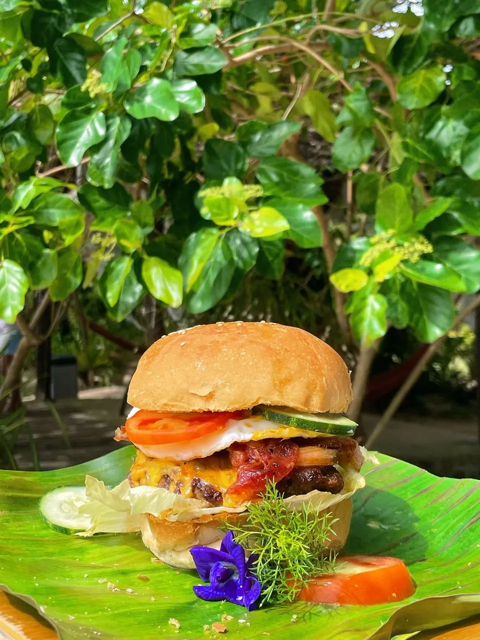 Burger with fried egg, tomato and cucumber served on a banana leaf in the tropical garden of Patrick's on the Beach