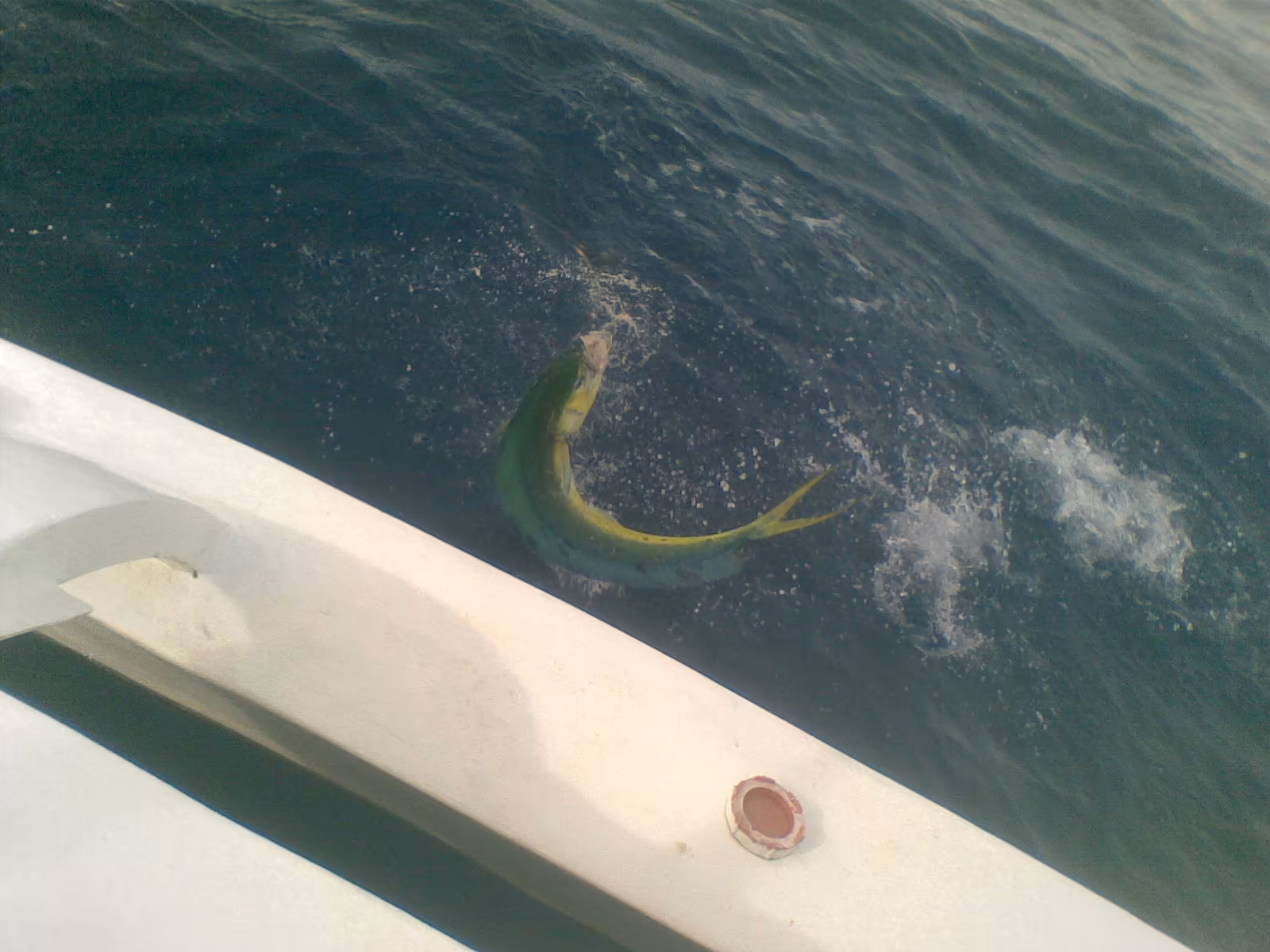 Deep sea fishing trip with Patrick's on the Beach in the waters off Siargao Island