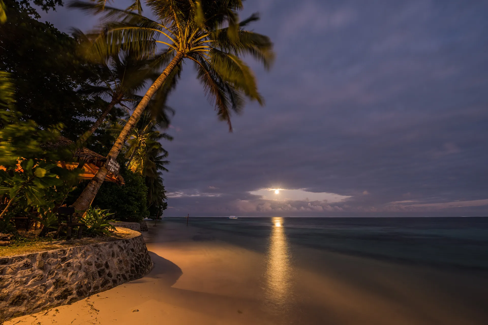 Moonrise over the calm sea beside a leaning palm on the beach at Patrick's on the Beach, Siargao