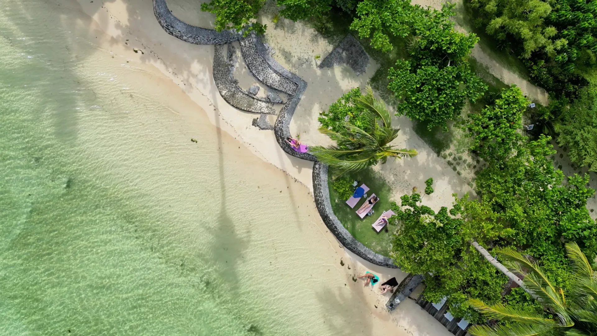 The white sand beachfront of Patrick's on the Beach with palm trees and clear water, Siargao