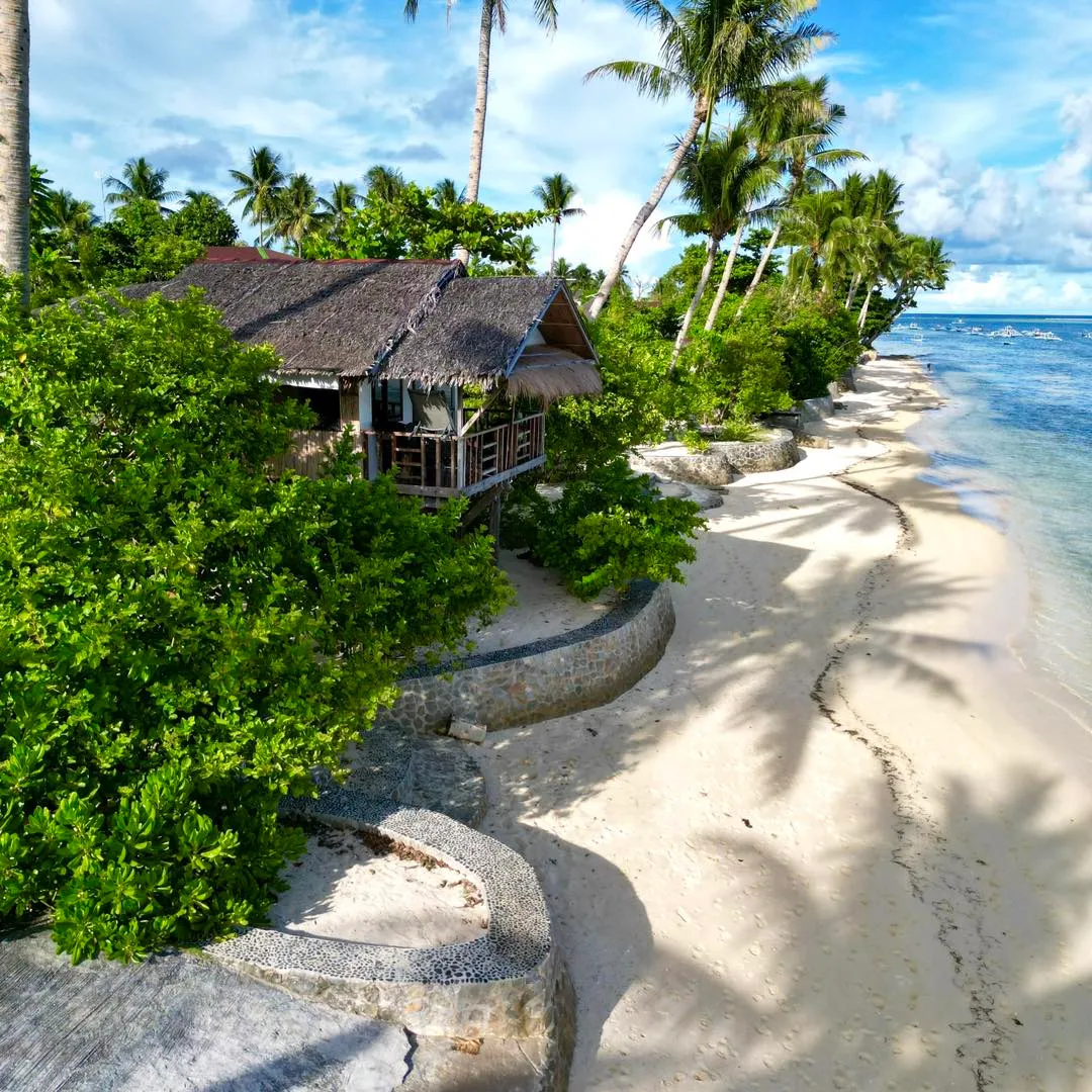 Palm-lined white-sand beachfront at Patrick's on the Beach, General Luna, Siargao