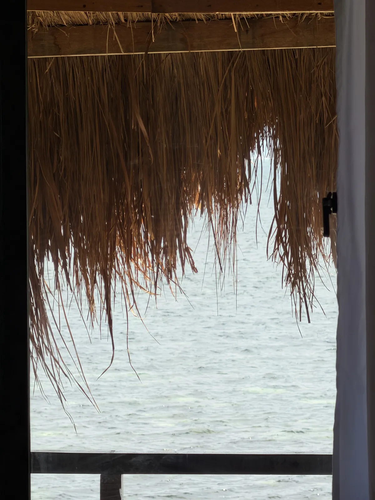 Beachfront Tree House - Tree House Balcony accommodation at Patrick's on the Beach resort, Siargao Island